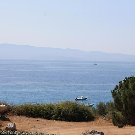 F2 Vue Mer Dans Residence Avec Piscine Αζάτσιο Εξωτερικό φωτογραφία