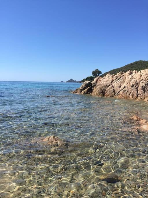 F2 Vue Mer Dans Residence Avec Piscine Αζάτσιο Εξωτερικό φωτογραφία