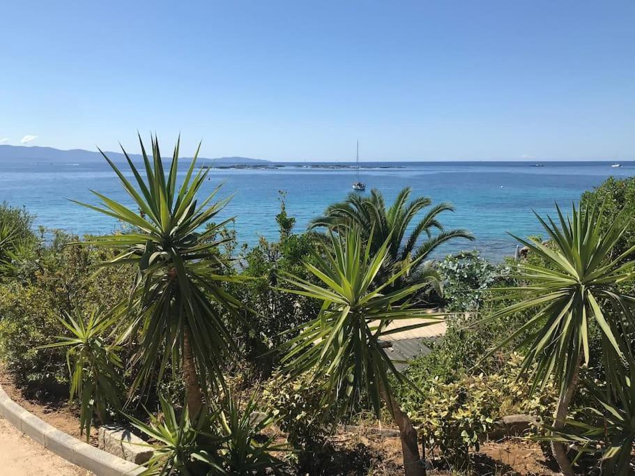 F2 Vue Mer Dans Residence Avec Piscine Αζάτσιο Εξωτερικό φωτογραφία