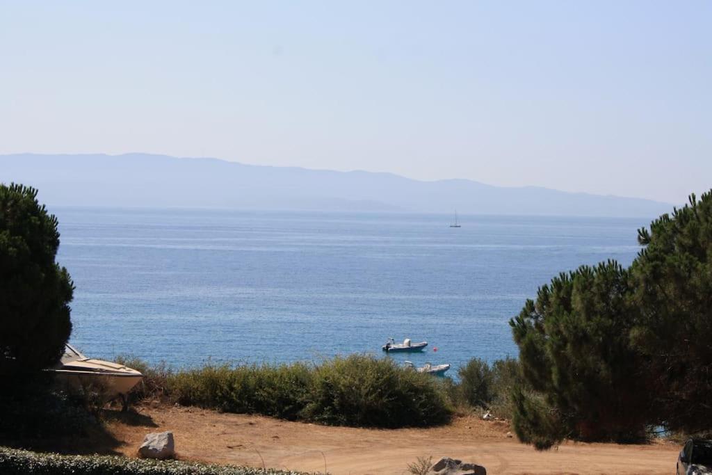 F2 Vue Mer Dans Residence Avec Piscine Αζάτσιο Εξωτερικό φωτογραφία